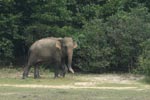 Notes on Field Trips Wilpattu National Park