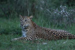 Wilpattu National Park