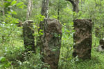 Wilpattu National Park