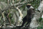 Wilpattu National Park