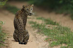 Wilpattu National Park