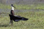 Wilpattu National ParkPark 06-09 March 2020