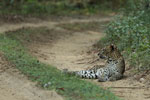 Notes on Field Trips Wilpattu National Park