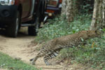 Notes on Field Trips Wilpattu National Park