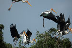 Notes on Field Trips Wilpattu National Park