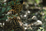 Notes on Field Trips Wilpattu National Park