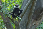 Notes on Field Trips Wilpattu National Park