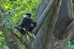 Notes on Field Trips Wilpattu National Park