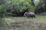 Notes on Field Trips Wilpattu National Park