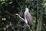 Notes on Field Trips Wilpattu National Park