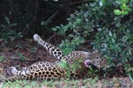 Notes on Field Trips Wilpattu National Park