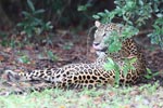 Notes on Field Trips Wilpattu National Park