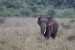 Notes on Field Trips Wilpattu National Park