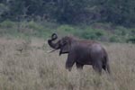 Notes on Field Trips Wilpattu National Park