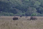 Notes on Field Trips Wilpattu National Park