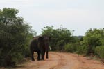 Notes on Field Trips Wilpattu National Park