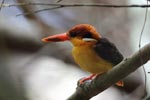 Notes on Field Trips Wilpattu National Park