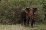 Notes on Field Trips Wilpattu National Park