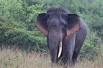 Notes on Field Trips Wilpattu National Park