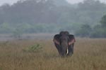 Notes on Field Trips Wilpattu National Park