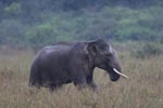 Notes on Field Trips Wilpattu National Park