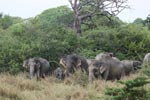 Notes on Field Trips Wilpattu National Park