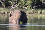 7th to 8th April 2018 Notes on Field Trips Wilpattu National Park