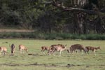 7th to 8th April 2018 Notes on Field Trips Wilpattu National Park
