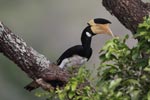 Notes on Field Trips Wilpattu National Park