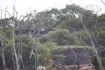 Notes on Field Trips Wilpattu National Park