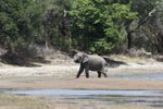 Notes on Field Trips Wilpattu National Park