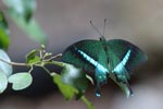 Notes on Field Trips Wilpattu National Park