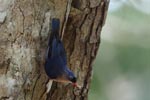 Notes on Field Trips Wilpattu National Park