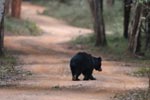 Notes on Field Trips Wilpattu National Park