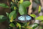 Notes on Field Trips Wilpattu National Park