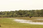 Notes on Field Trips Wilpattu National Park