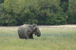 Notes on Field Trips Wilpattu National Park