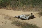 Notes on Field Trips Wilpattu National Park