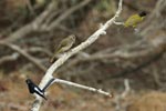 Notes on Field Trips Wilpattu National Park