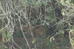 Notes on Field Trips Wilpattu National Park