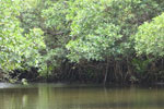 Notes on Field Trips Wilpattu National Park