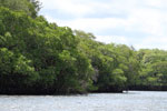 Notes on Field Trips Wilpattu National Park