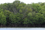 Notes on Field Trips Wilpattu National Park