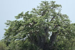 Notes on Field Trips Wilpattu National Park