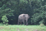 Notes on Field Trips Wilpattu National Park