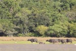 Wilpattu National Park 10th to 12th July 2026