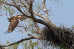 Notes on Field Trips Wilpattu National Park