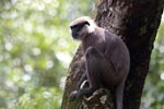 Notes on Field Trips Wilpattu National Park