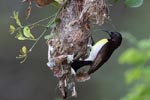 Notes on Field Trips Wilpattu National Park