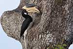 Wilpattu National Park 210th to 13th May 2025